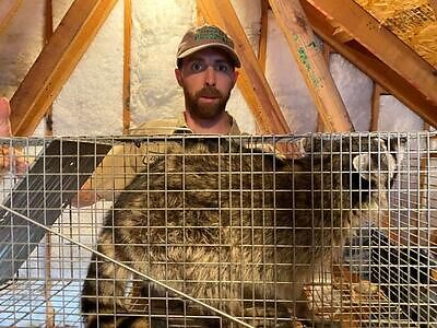 Wilmington pest control